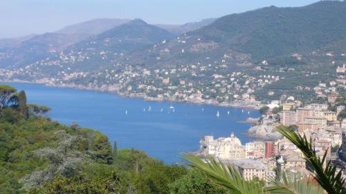 Villa Rosmarino Camogli Kültér fotó